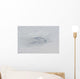 Eye Hurricane Bill Wall Decal