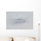 Eye Hurricane Bill Wall Decal