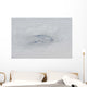 Eye Hurricane Bill Wall Decal