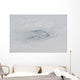 Eye Hurricane Bill Wall Decal