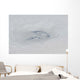 Eye Hurricane Bill Wall Decal