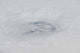 Eye Hurricane Bill Wall Decal