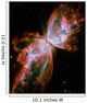Butterfly Nebula Wall Decal