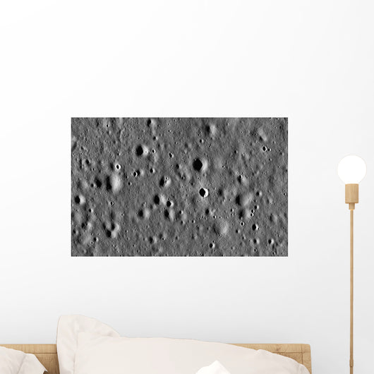Apollo 11 Landing Site Wall Decal