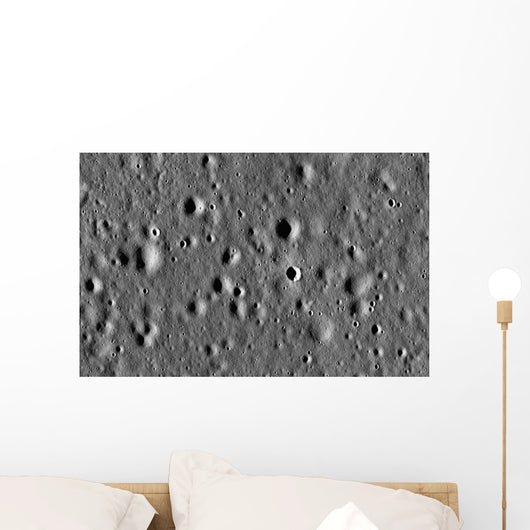 Apollo 11 Landing Site Wall Decal