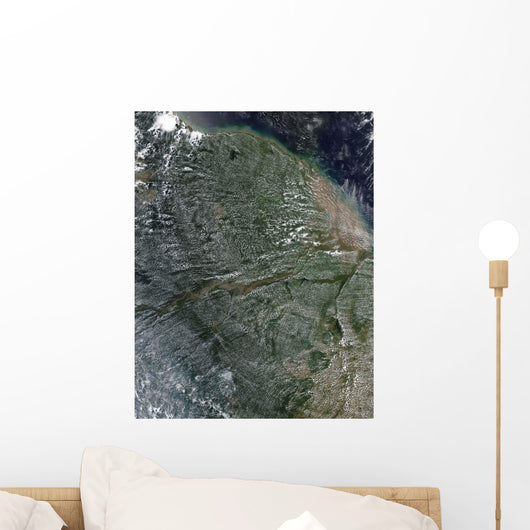 Afternoon Clouds over Amazon Wall Decal