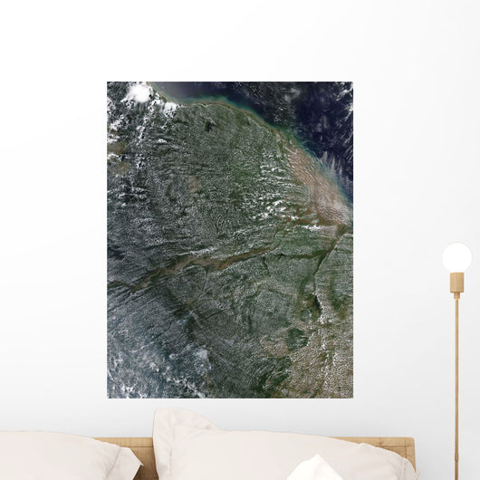 Afternoon Clouds over Amazon Wall Decal