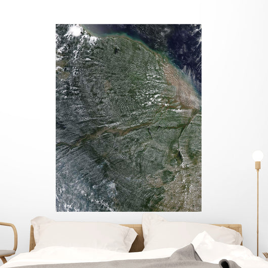 Afternoon Clouds over Amazon Wall Decal