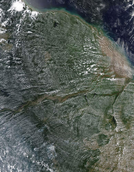 Afternoon Clouds over Amazon Wall Decal