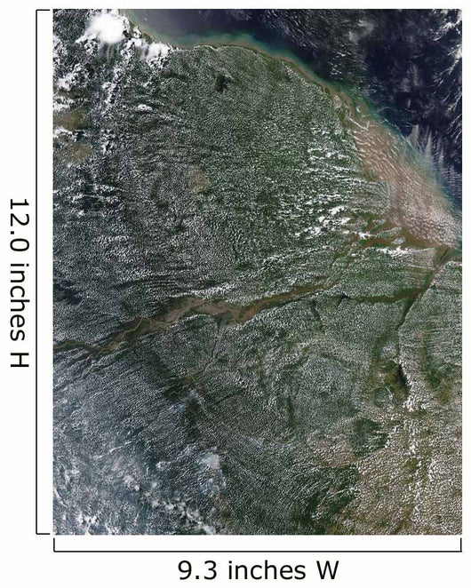 Afternoon Clouds over Amazon Wall Decal