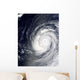 Super Typhoon Choi-wan West Wall Decal
