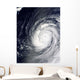 Super Typhoon Choi-wan West Wall Decal