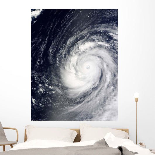 Super Typhoon Choi-wan West Wall Decal