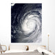 Super Typhoon Choi-wan West Wall Decal