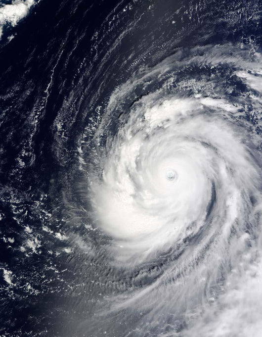 Super Typhoon Choi-wan West Wall Decal