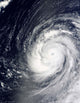 Super Typhoon Choi-wan West Wall Decal