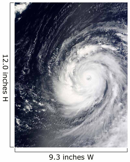 Super Typhoon Choi-wan West Wall Decal