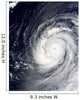 Super Typhoon Choi-wan West Wall Decal