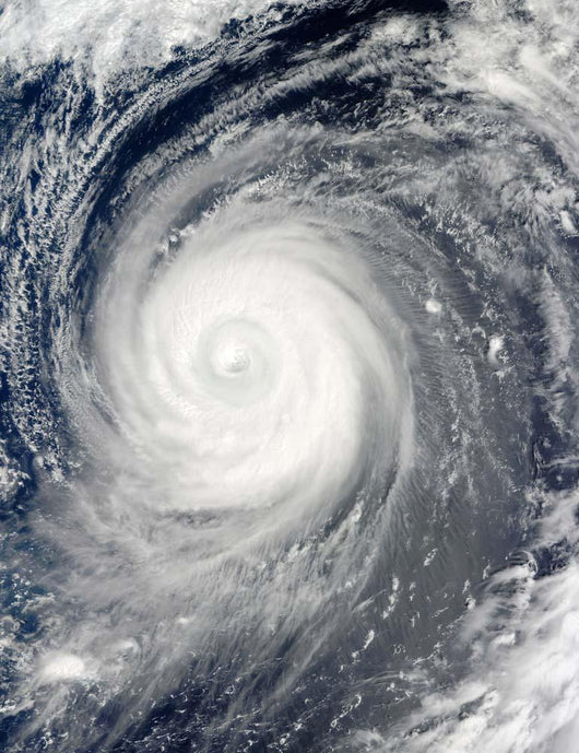 Typhoon Choi-wan South Japan Wall Decal