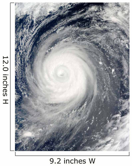 Typhoon Choi-wan South Japan Wall Decal