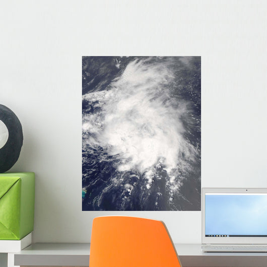 Tropical Storm Danny off Wall Decal