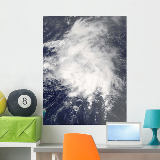 Tropical Storm Danny off Wall Decal
