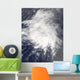 Tropical Storm Danny off Wall Decal