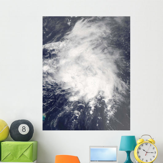 Tropical Storm Danny off Wall Decal
