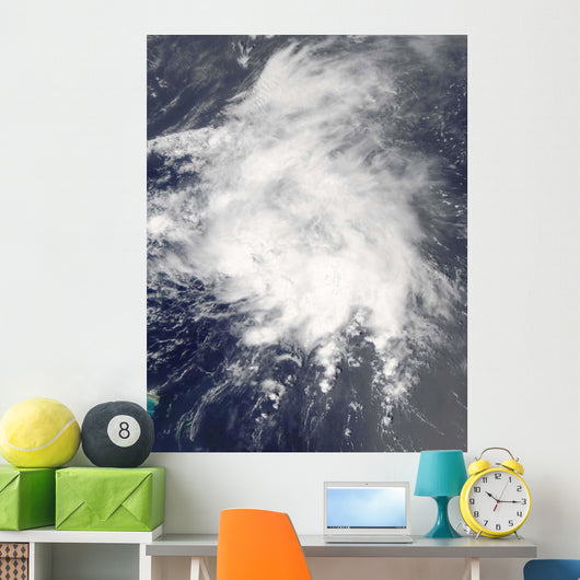 Tropical Storm Danny off Wall Decal