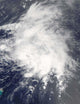 Tropical Storm Danny off Wall Decal