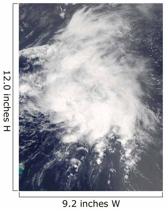 Tropical Storm Danny off Wall Decal