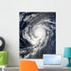 Hurricane Fred Traveling Northwestward Wall Decal