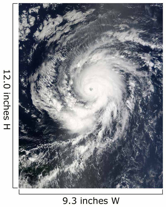 Hurricane Fred Traveling Northwestward Wall Decal