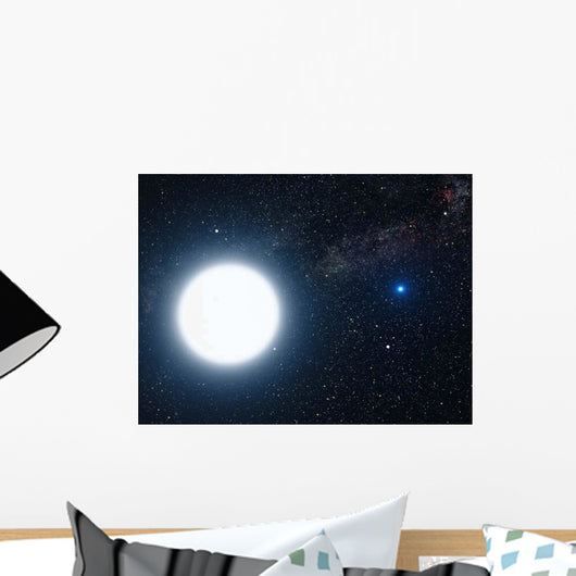 Artist's Concept Showing Binary Wall Decal