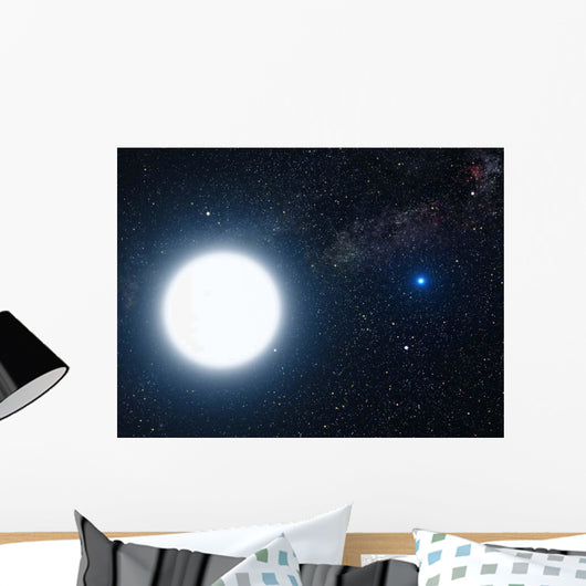 Artist's Concept Showing Binary Wall Decal