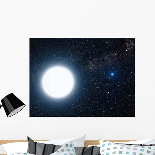 Artist's Concept Showing Binary Wall Decal