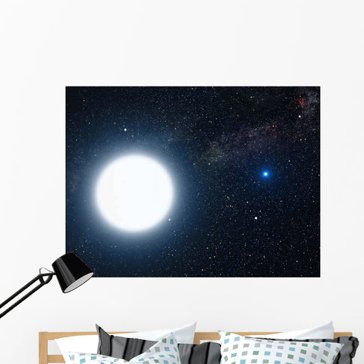 Artist's Concept Showing Binary Wall Decal