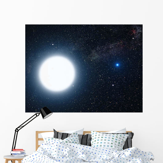 Artist's Concept Showing Binary Wall Decal