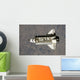 Space Shuttle Endeavour Wall Decal Design 3