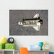 Space Shuttle Endeavour Wall Decal Design 3