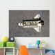 Space Shuttle Endeavour Wall Decal Design 3