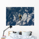 Space Shuttle Endeavour Wall Decal Design 2