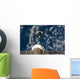 Space Shuttle Endeavour and Wall Decal