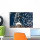 Space Shuttle Endeavour and Wall Decal