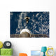 Space Shuttle Endeavour and Wall Decal