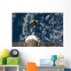 Space Shuttle Endeavour and Wall Decal