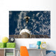 Space Shuttle Endeavour and Wall Decal