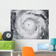 Hurricane Jangmi Wall Decal