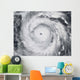 Hurricane Jangmi Wall Decal