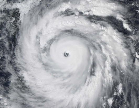 Hurricane Jangmi Wall Decal